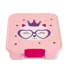 Bento 5 Lunch Boxes