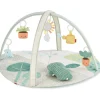 Garden Oasis Activity Gym