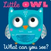 Little Owl What Can You See? Board Book