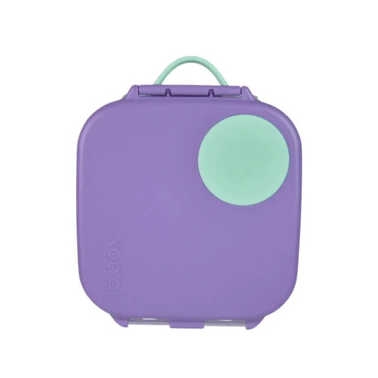 Mini Lunchbox