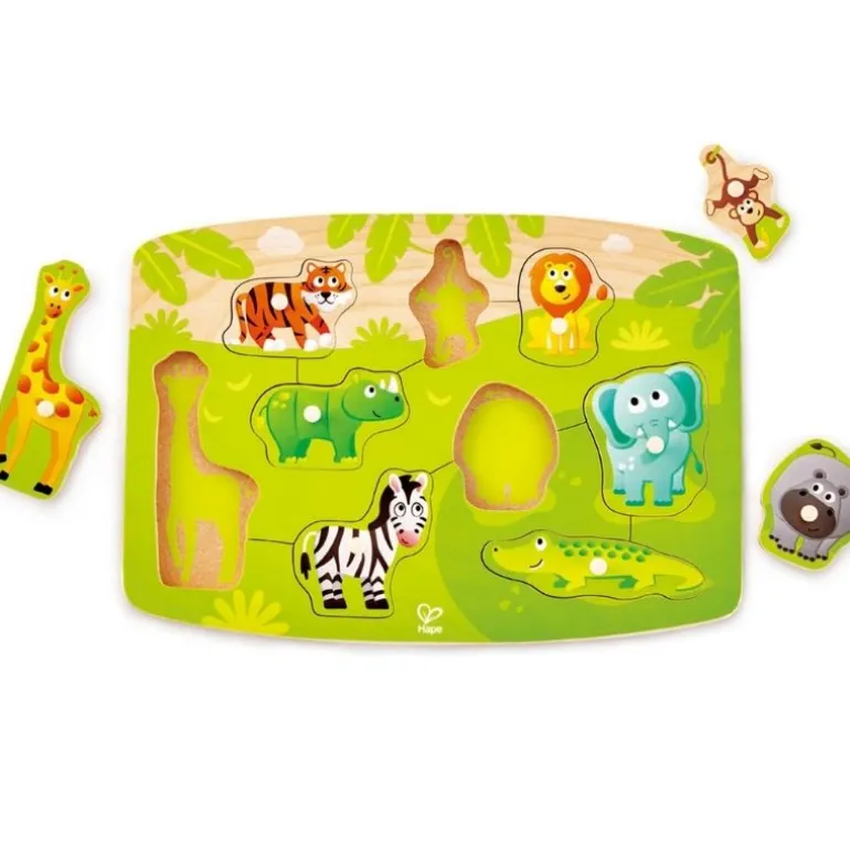 Peg Puzzle