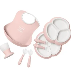 8 Piece Dinnerware Set