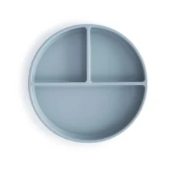 Silicone Suction Plate
