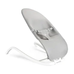 Spring 2-in-1 Bouncer & Rocker